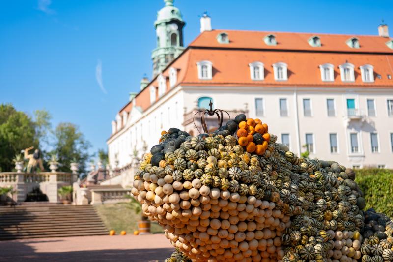 Kürbisfestival Lichtenwalde, Froschkönig &#40;c&#41; ASL Schlossbetriebe gGmbH